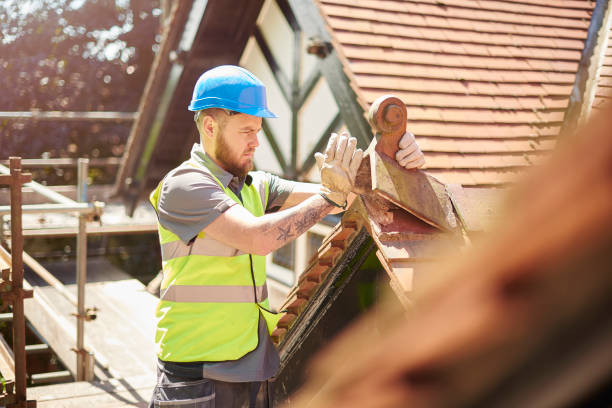 Best Storm Damage Roof Repair  in Dayton, TN